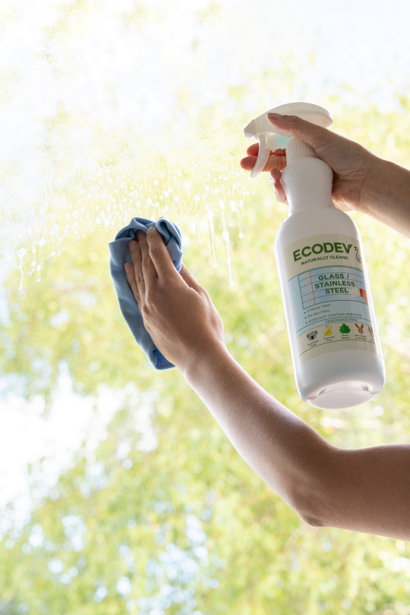 Glass & Stainless Steel Cleaner 5L + 1L