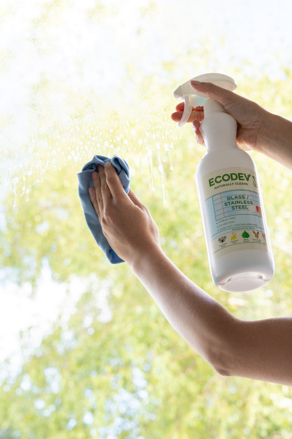 Glass & Stainless Steel Cleaner