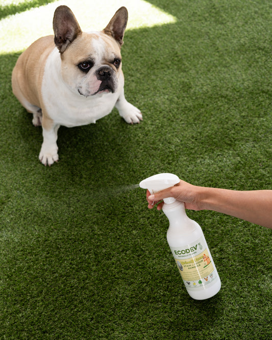 Urine Stain & Odour Remover 5L + 1L