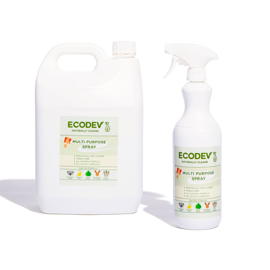 Multipurpose Surface Cleaning Spray 5L + 1L