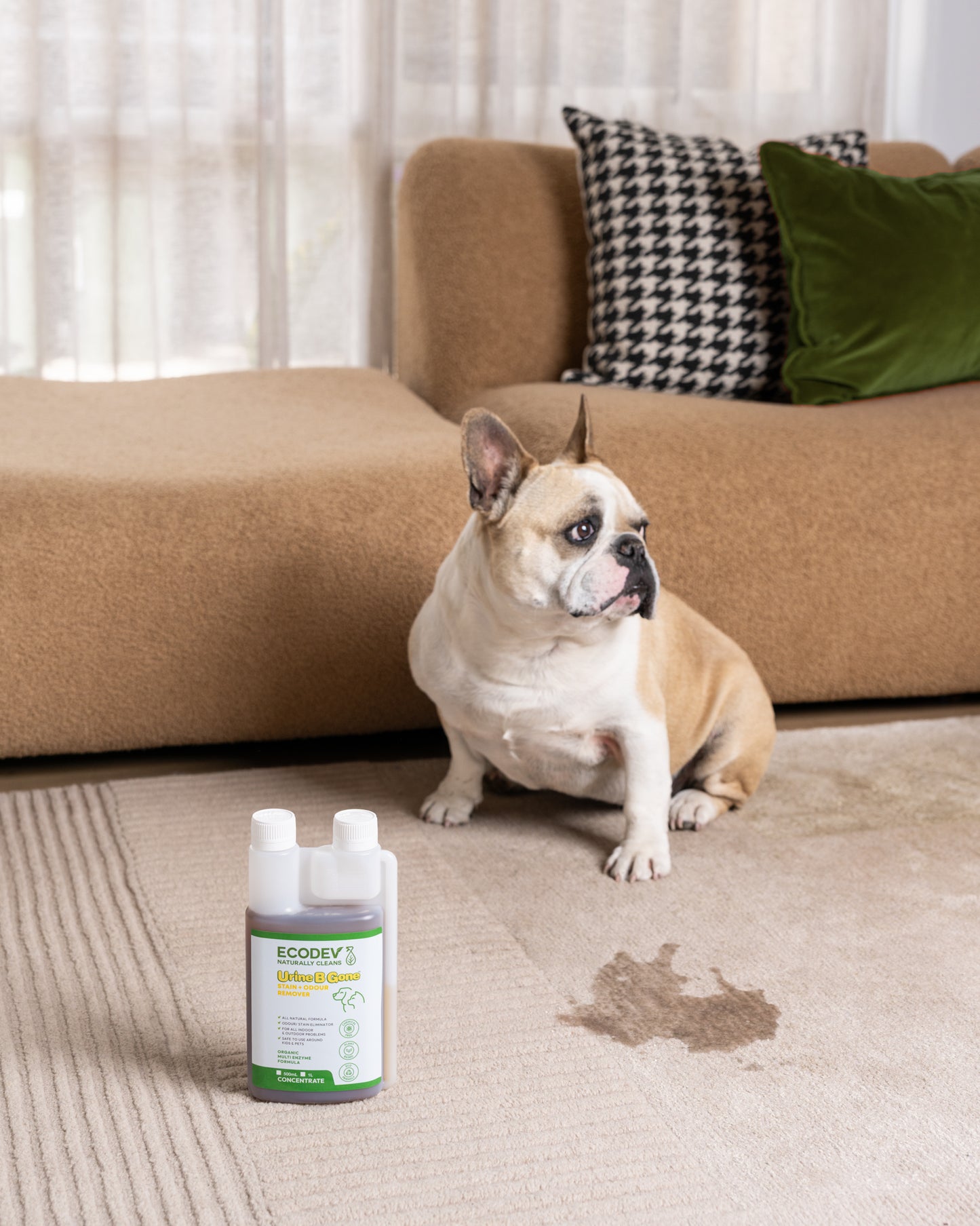 Urine B Gone - Stain & Odour Remover Concentrate