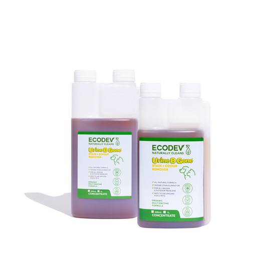 Urine B Gone - Stain & Odour Remover Concentrate