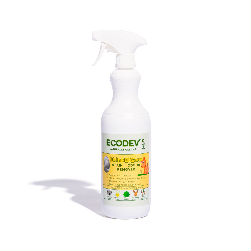 Urine B Gone- Stain & Odour Remover 1L