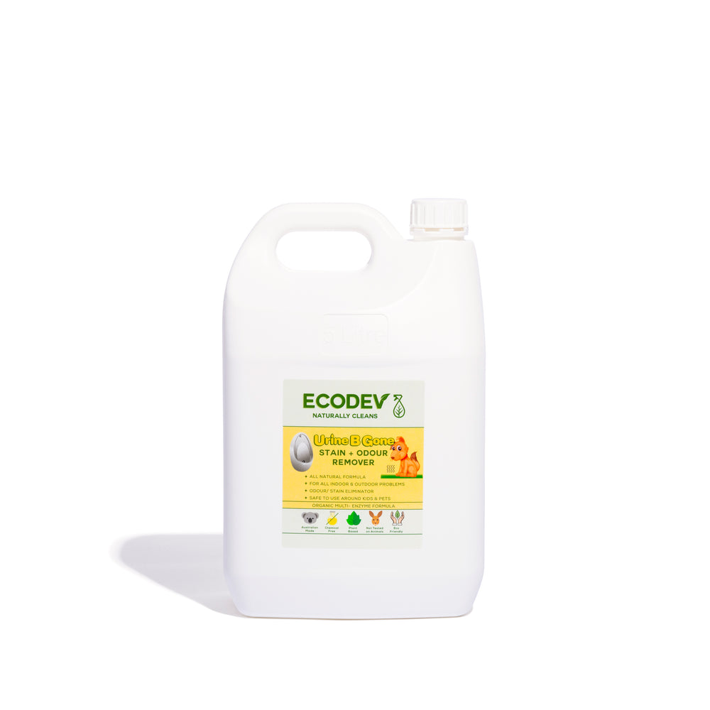 Urine B Gone - Stain & Odour Remover 5L
